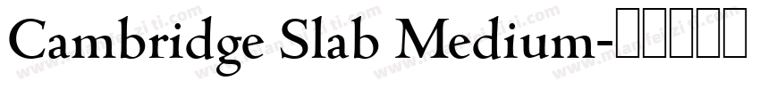 Cambridge Slab Medium字体转换